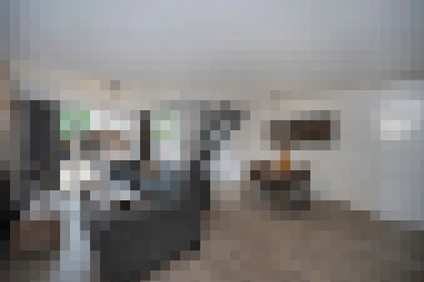 Kamelenspoor 48 Maarssen thumbnail 17