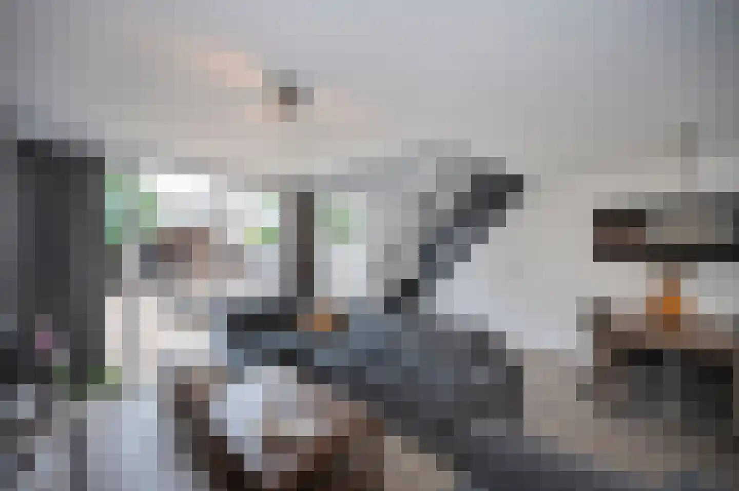 Kamelenspoor 48 Maarssen thumbnail 18