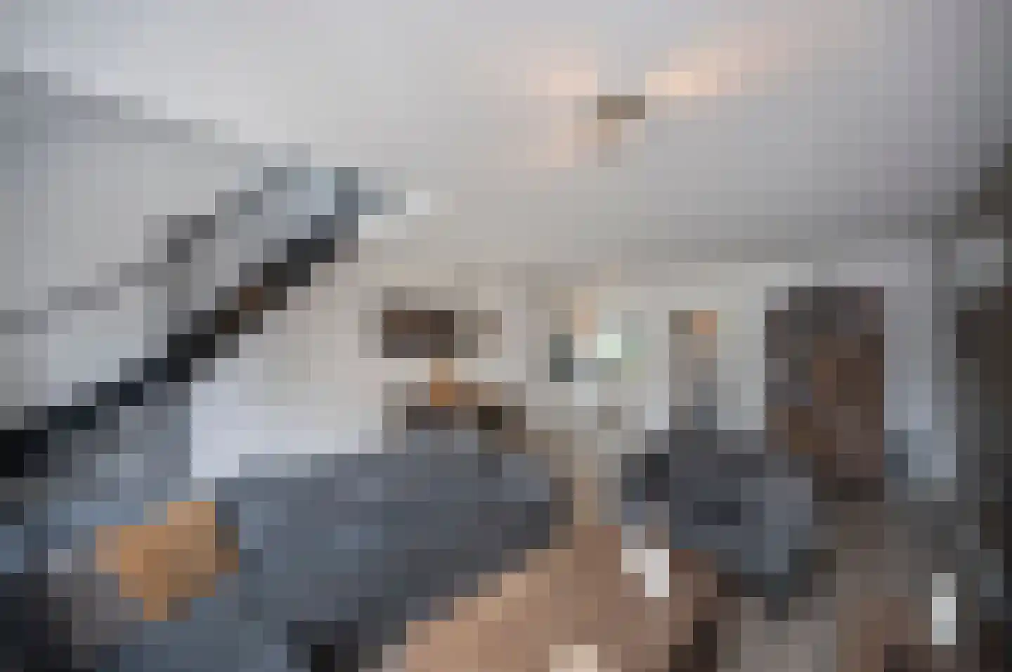 Kamelenspoor 48 Maarssen thumbnail 19