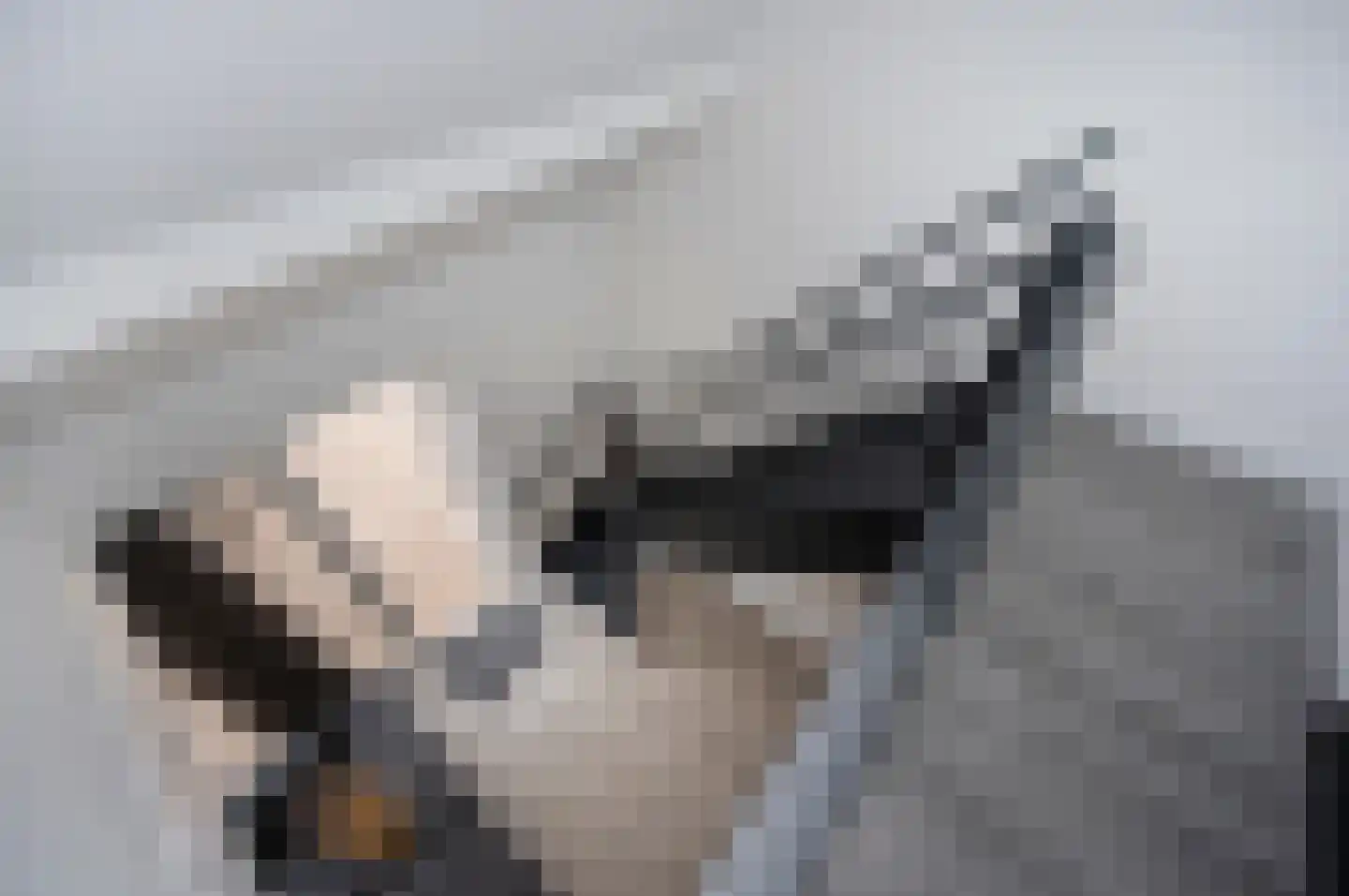 Kamelenspoor 48 Maarssen thumbnail 20