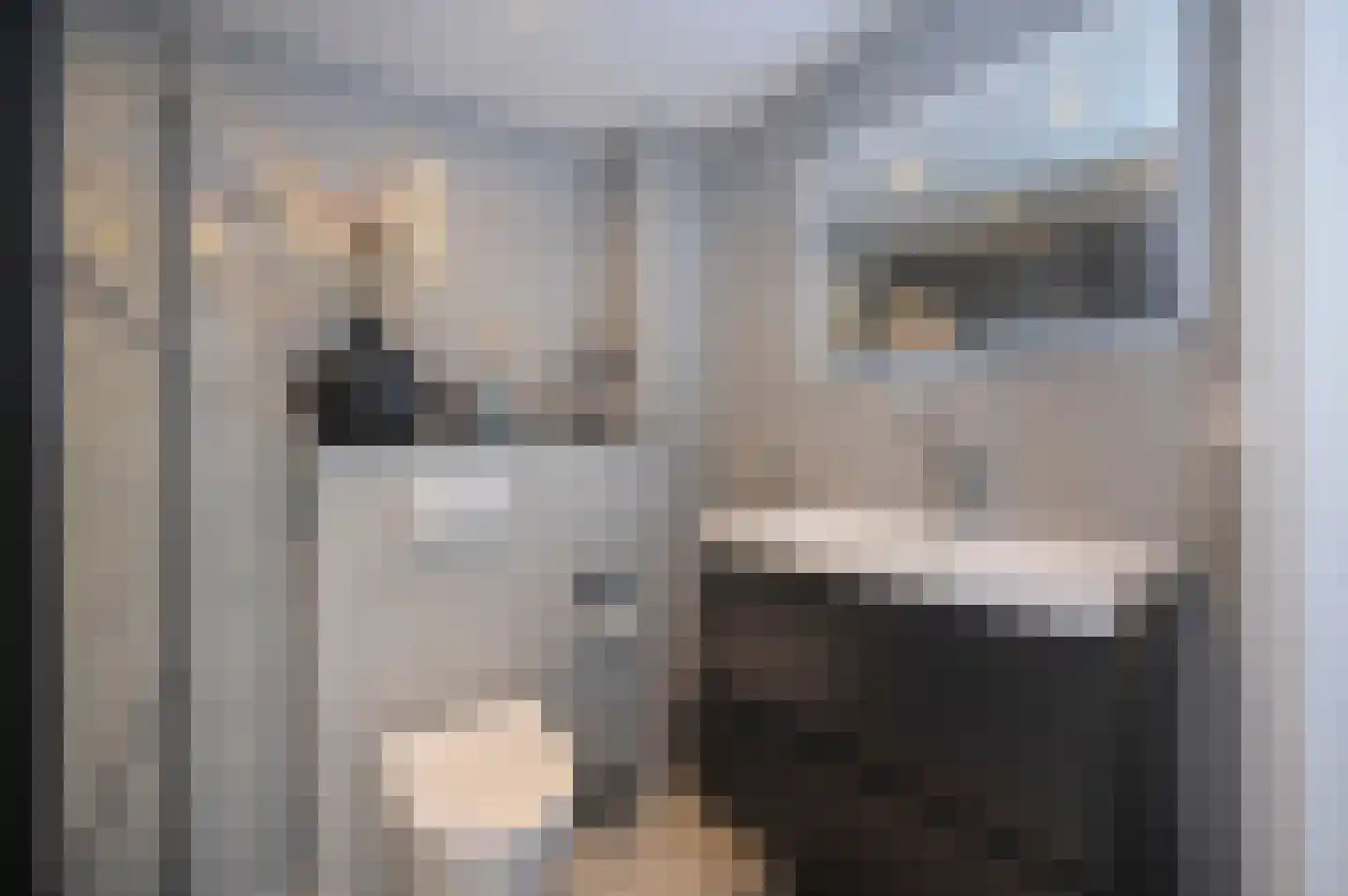 Kamelenspoor 48 Maarssen thumbnail 26