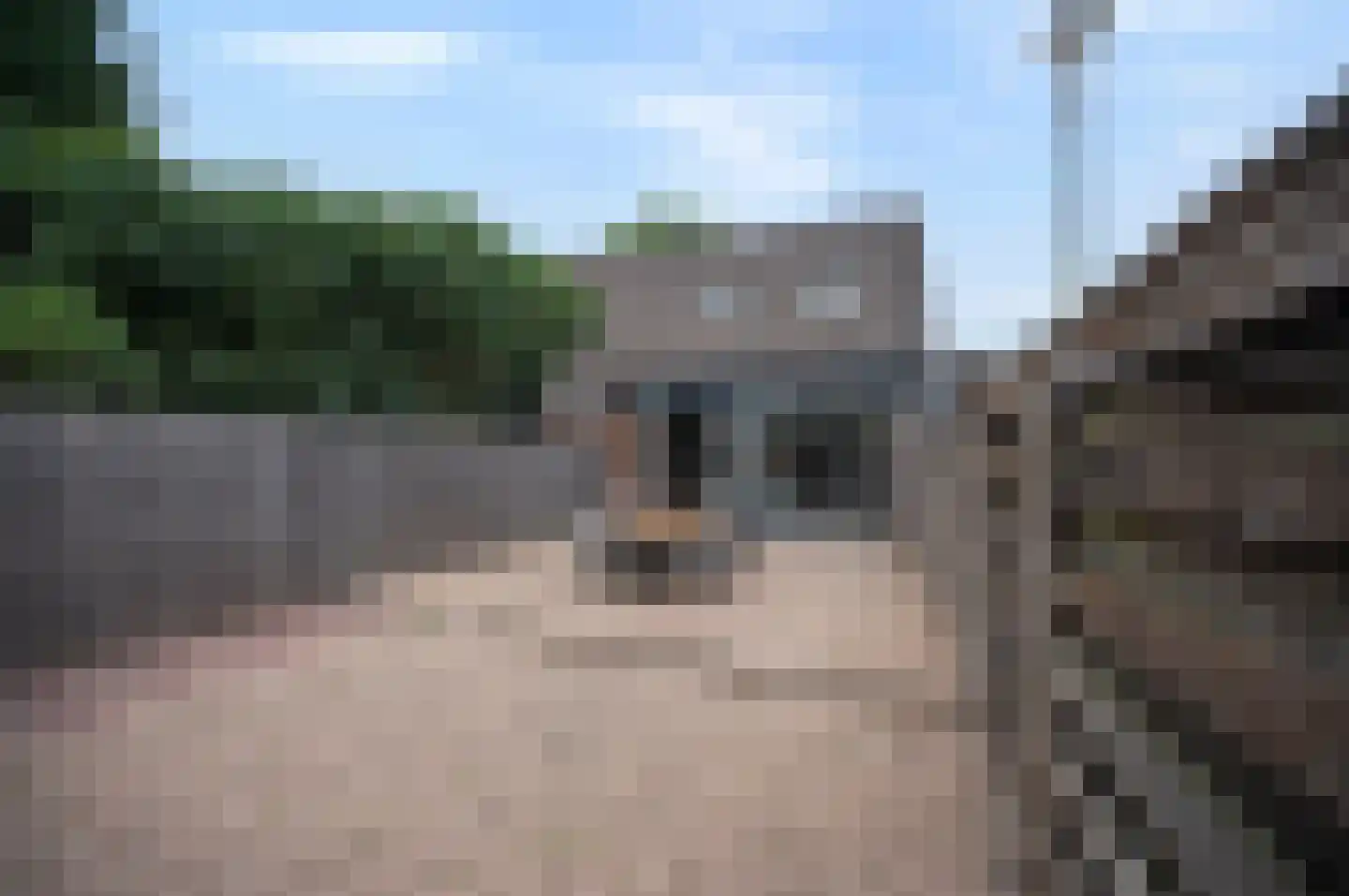 Kamelenspoor 48 Maarssen thumbnail 35