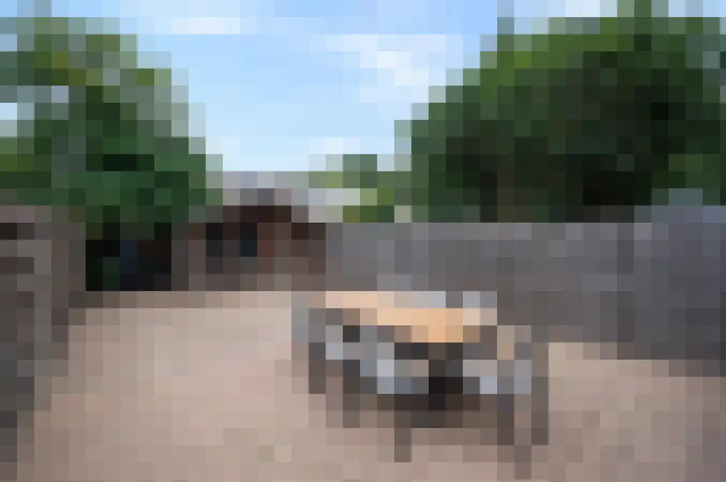 Kamelenspoor 48 Maarssen thumbnail 5