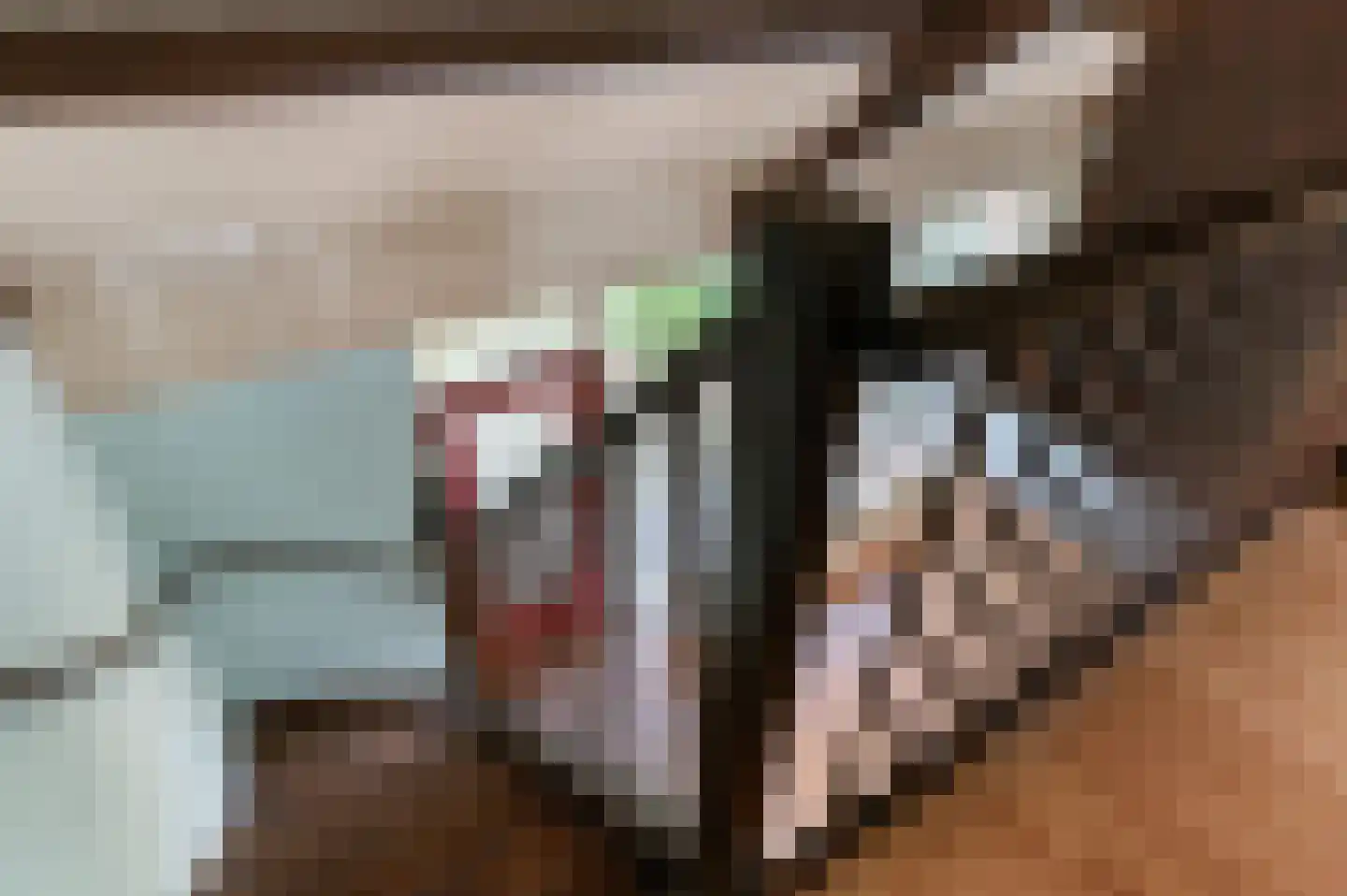 Kamelenspoor 56 Maarssen thumbnail 18