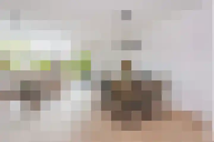 Kamelenspoor 63 Maarssen thumbnail 10