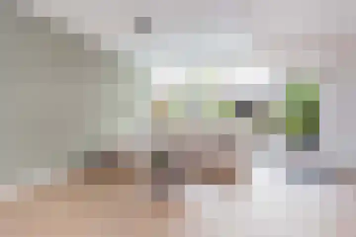 Kamelenspoor 63 Maarssen thumbnail 11