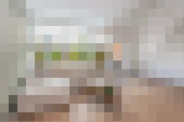 Kamelenspoor 63 Maarssen thumbnail 12