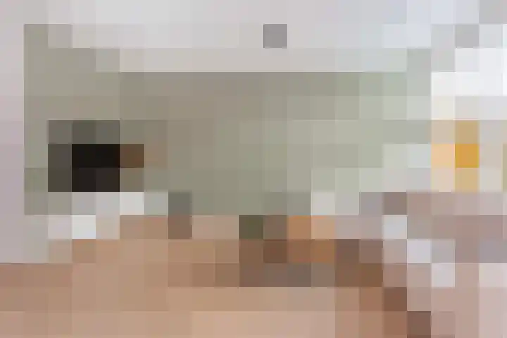 Kamelenspoor 63 Maarssen thumbnail 13