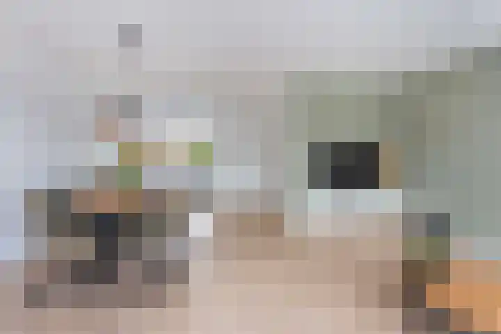 Kamelenspoor 63 Maarssen thumbnail 14