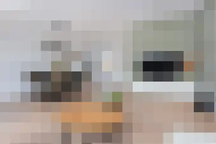 Kamelenspoor 63 Maarssen thumbnail 16