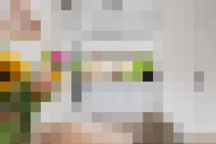 Kamelenspoor 63 Maarssen thumbnail 17