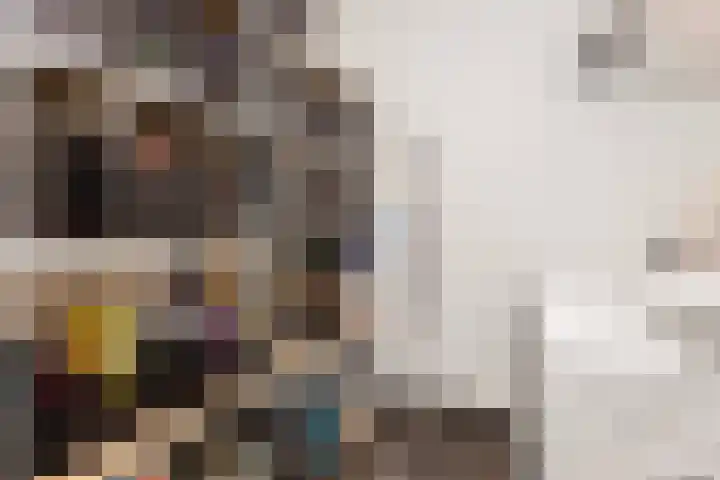 Kamelenspoor 63 Maarssen thumbnail 20