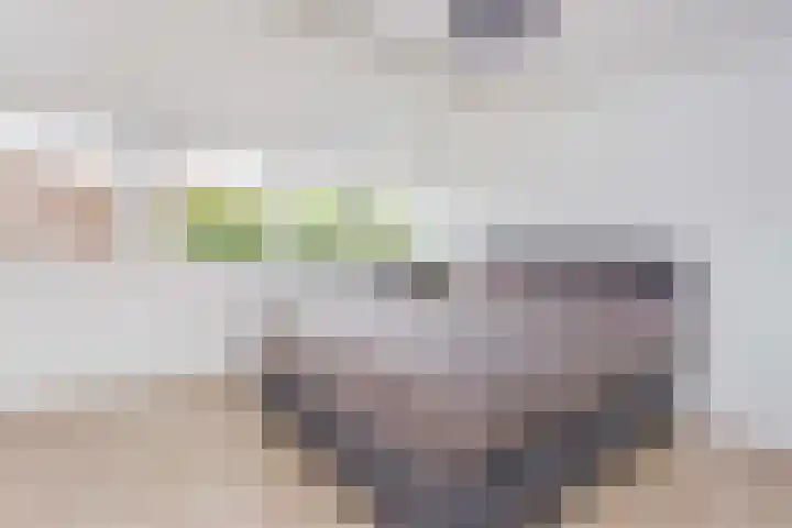 Kamelenspoor 63 Maarssen thumbnail 24