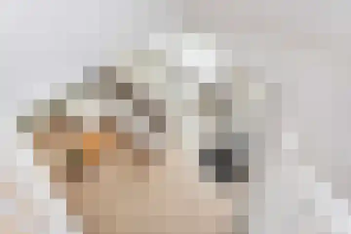 Kamelenspoor 63 Maarssen thumbnail 32