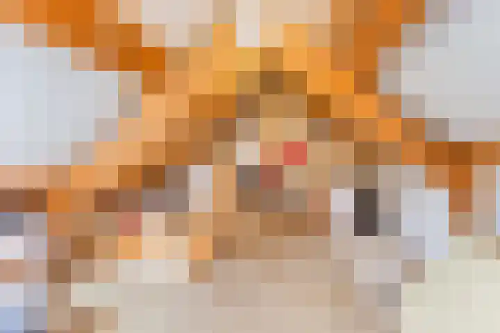 Kamelenspoor 63 Maarssen thumbnail 33