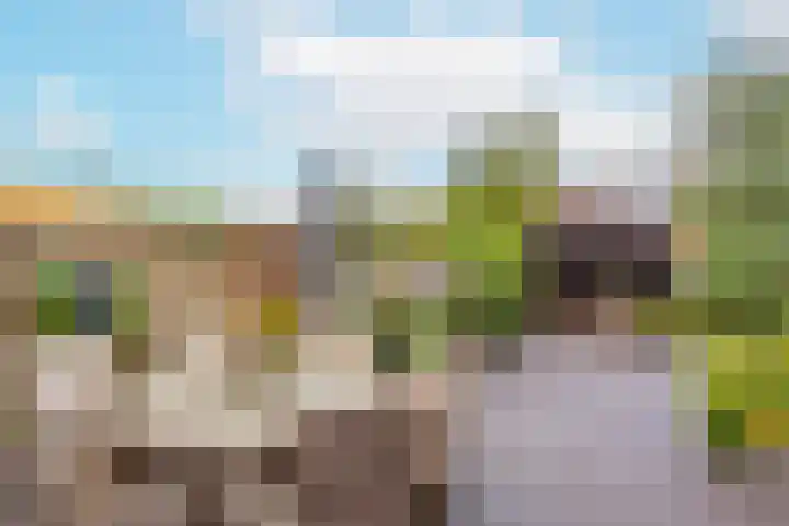 Kamelenspoor 63 Maarssen thumbnail 35