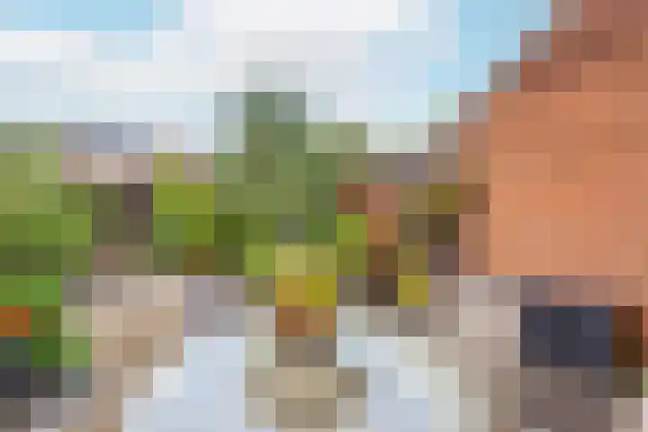 Kamelenspoor 63 Maarssen thumbnail 36