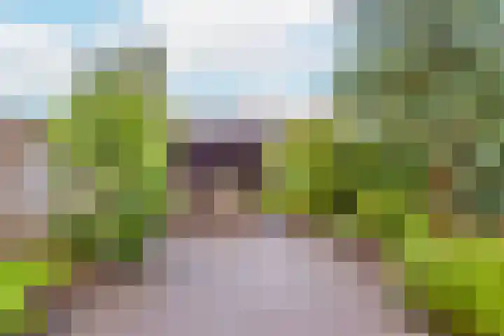 Kamelenspoor 63 Maarssen thumbnail 37