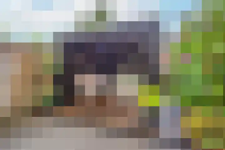 Kamelenspoor 63 Maarssen thumbnail 38