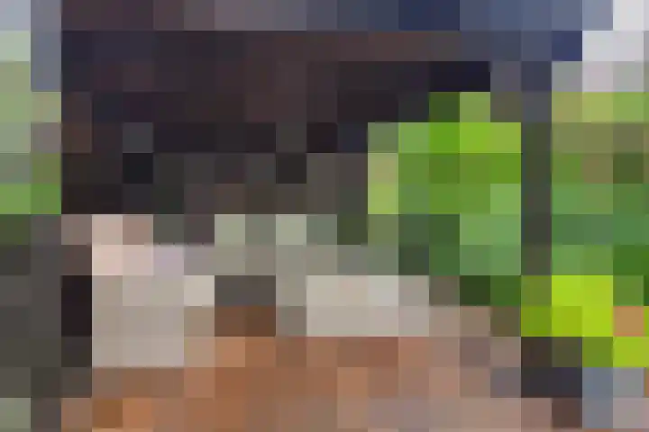 Kamelenspoor 63 Maarssen thumbnail 39