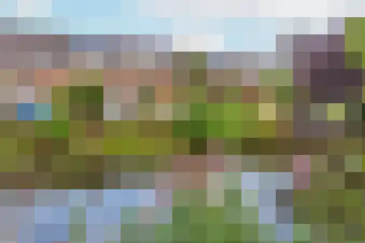Kamelenspoor 63 Maarssen thumbnail 40