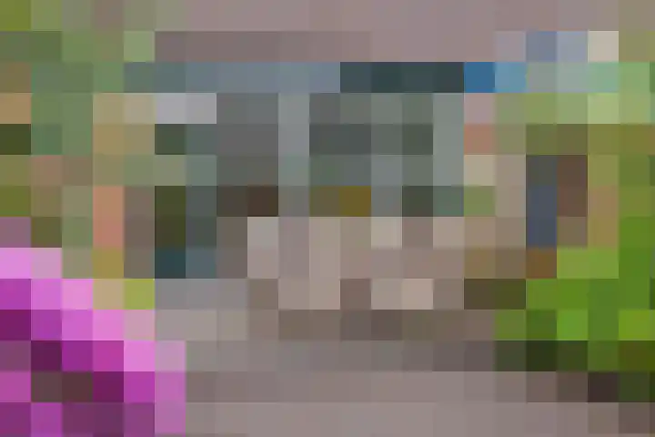 Kamelenspoor 63 Maarssen thumbnail 42