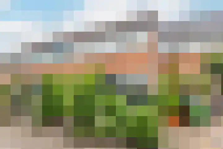 Kamelenspoor 63 Maarssen thumbnail 44