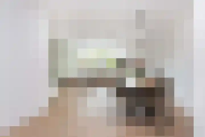 Kamelenspoor 63 Maarssen thumbnail 8
