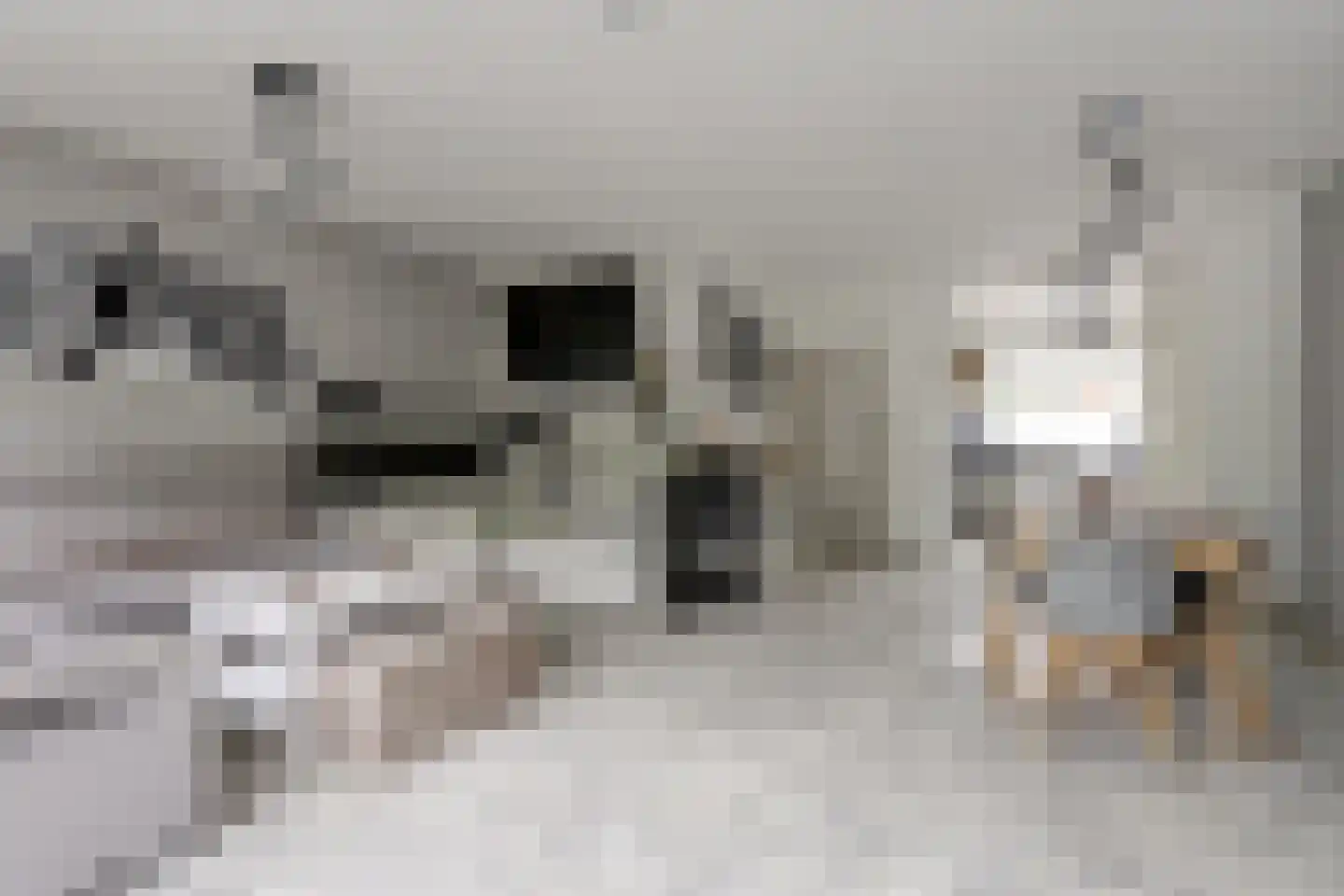 Kamelenspoor 8 Maarssen thumbnail 10