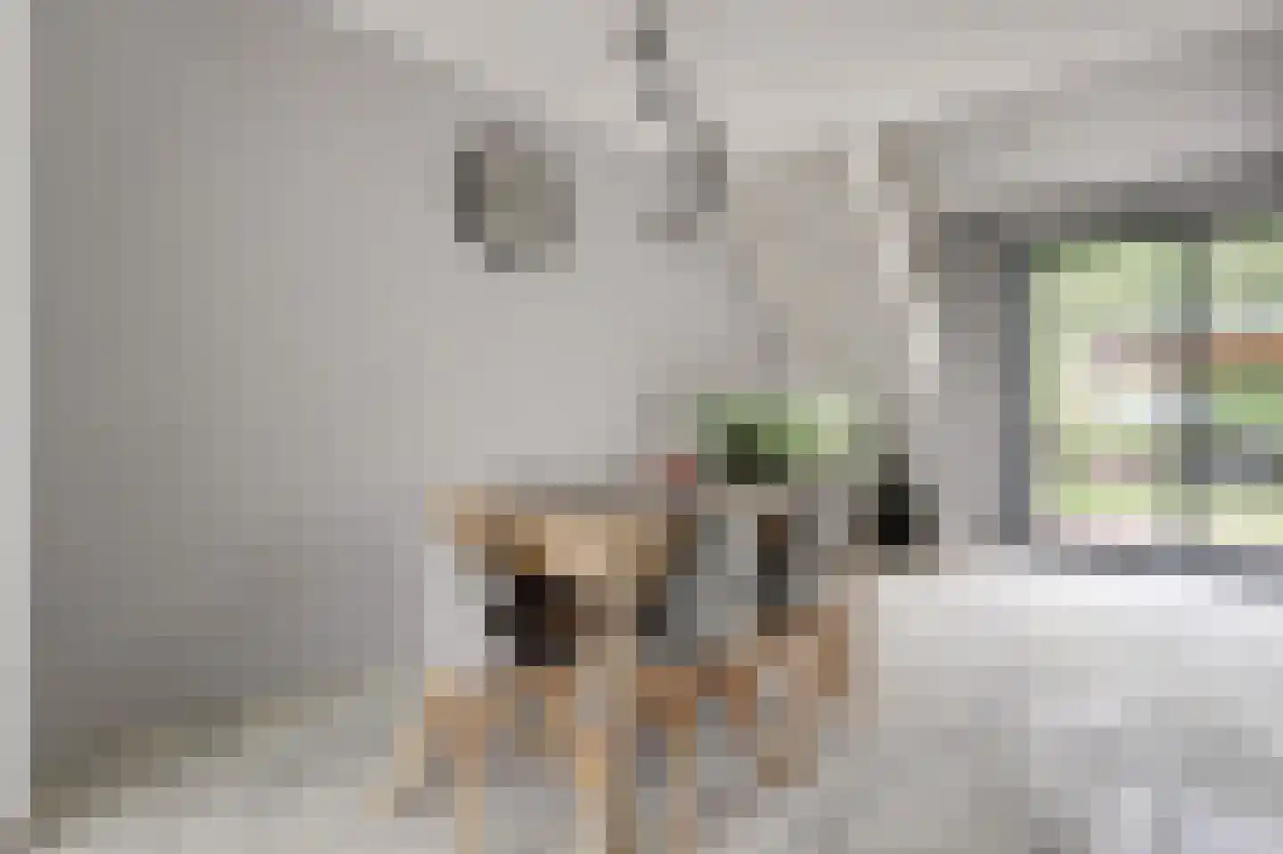 Kamelenspoor 8 Maarssen thumbnail 11