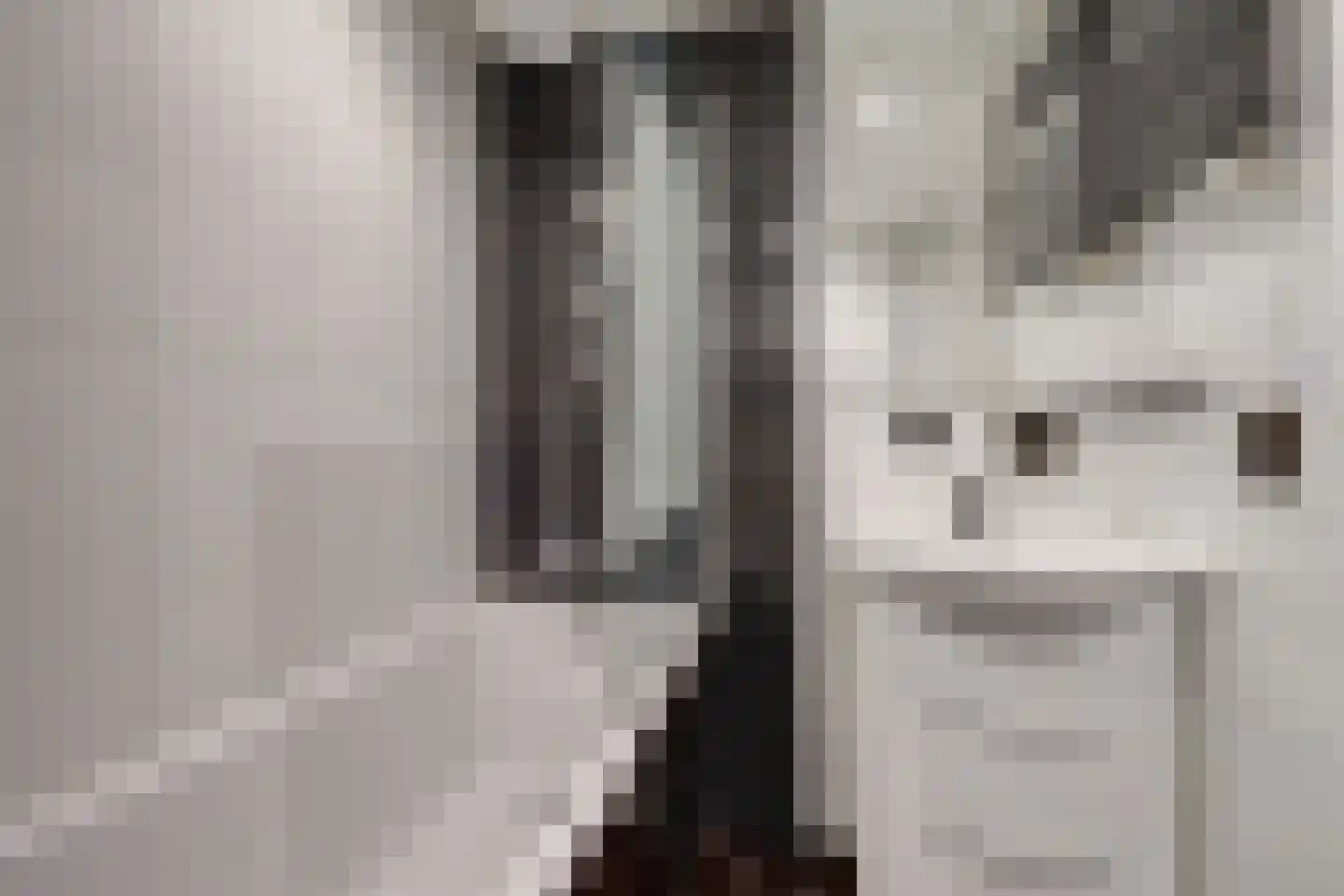 Kamelenspoor 8 Maarssen thumbnail 17