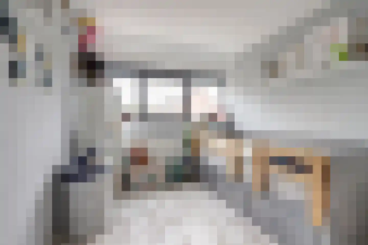 Kamelenspoor 8 Maarssen thumbnail 19