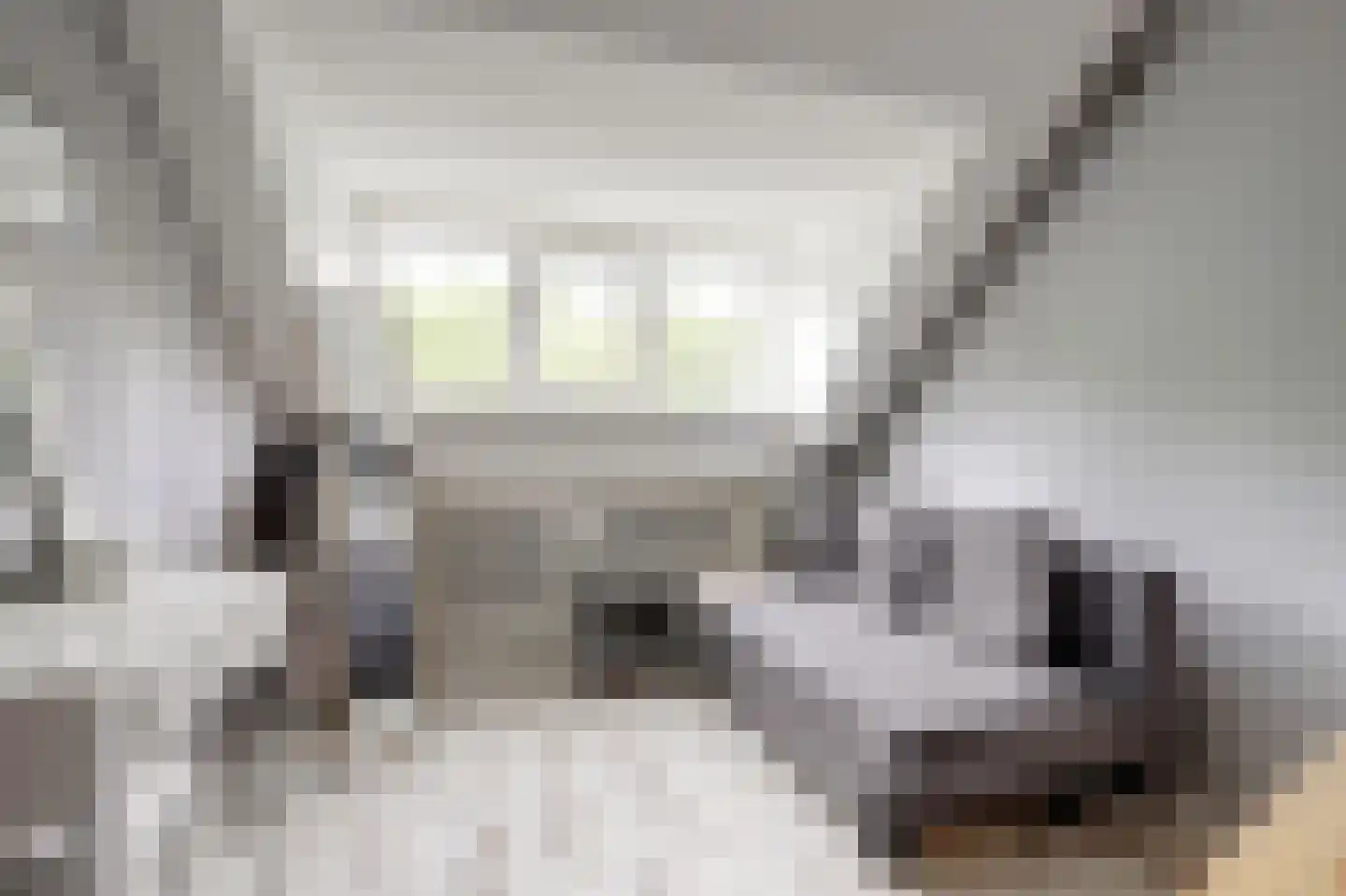 Kamelenspoor 8 Maarssen thumbnail 22