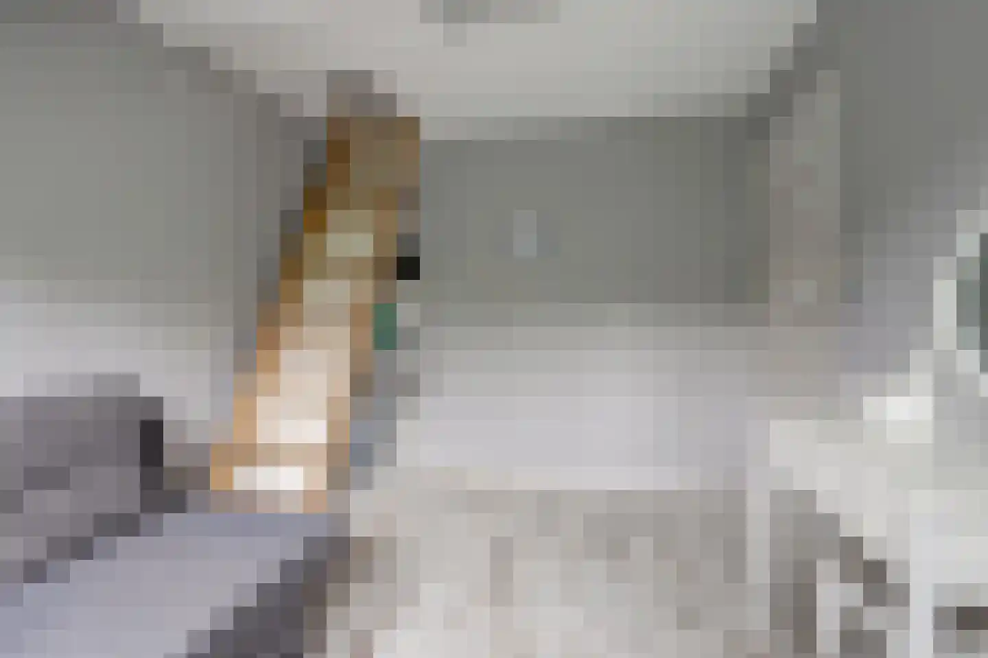Kamelenspoor 8 Maarssen thumbnail 24