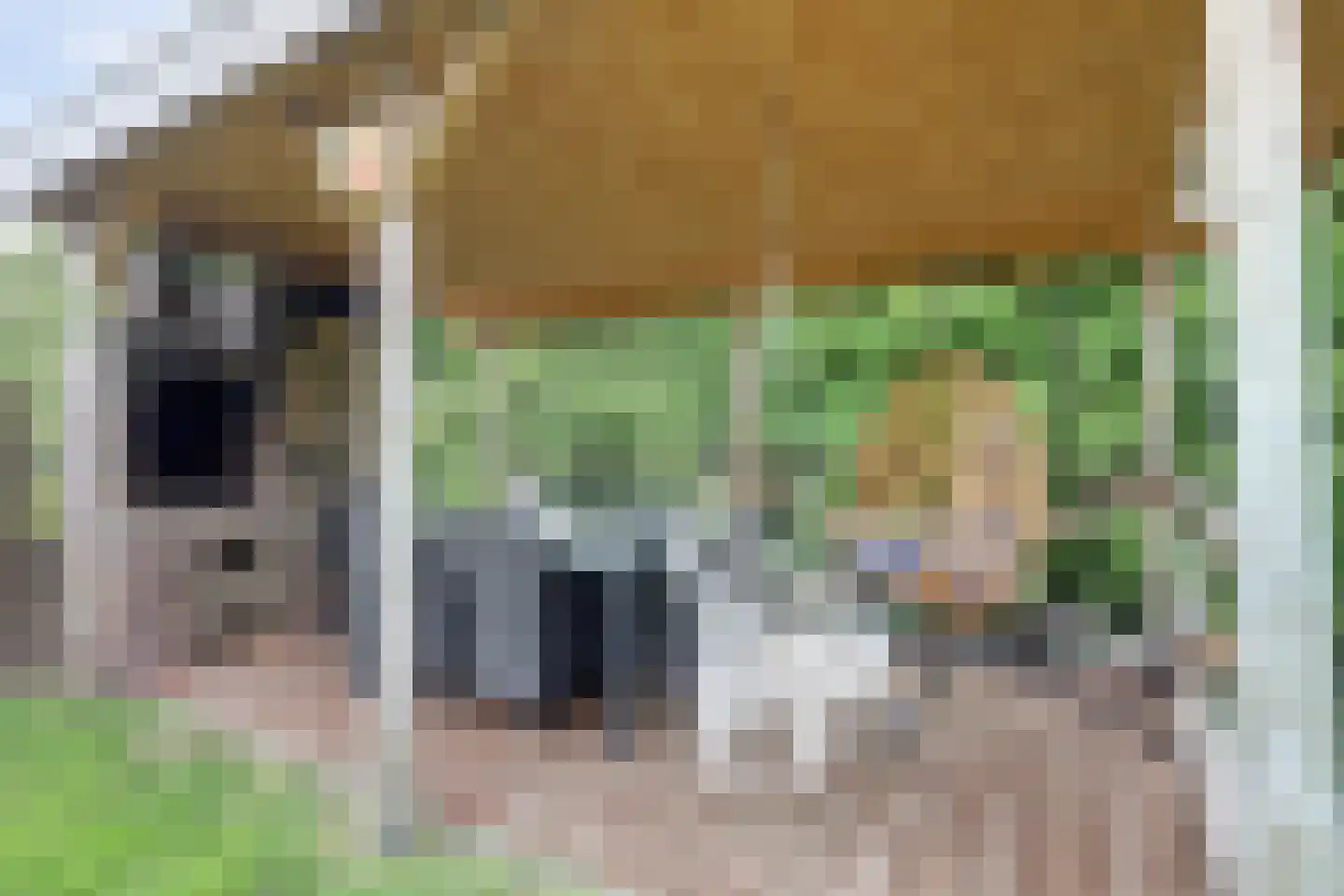 Kamelenspoor 8 Maarssen thumbnail 28