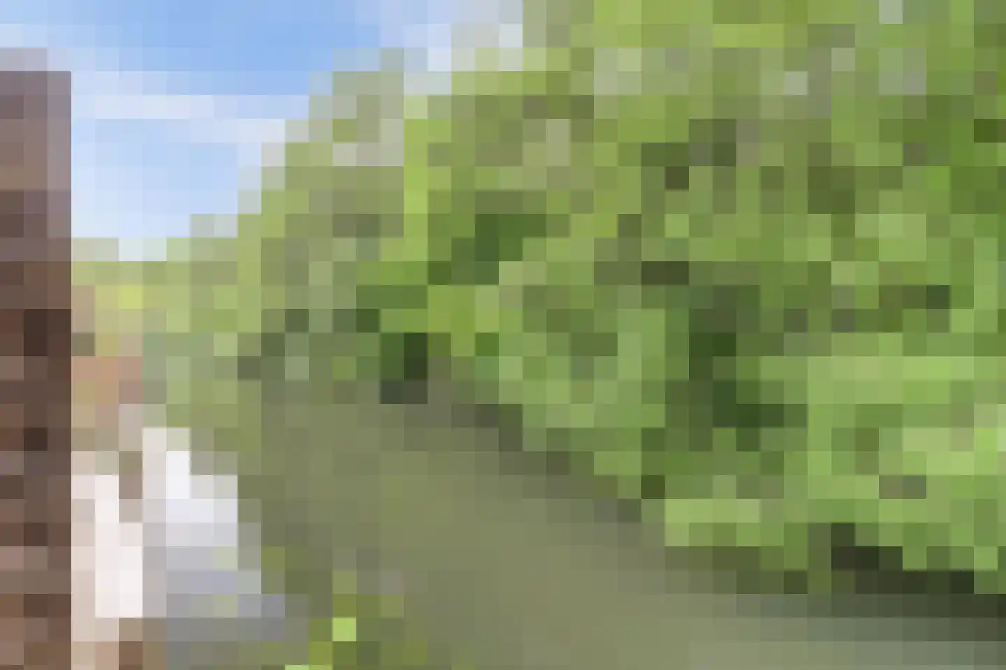 Kamelenspoor 8 Maarssen thumbnail 35