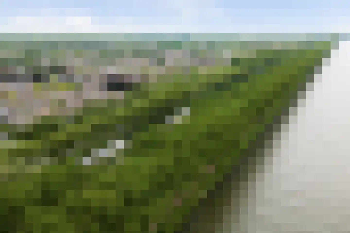 Kamelenspoor 8 Maarssen thumbnail 36