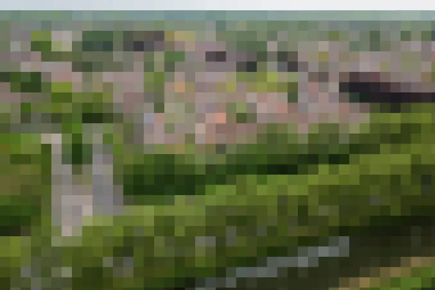 Kamelenspoor 8 Maarssen thumbnail 37
