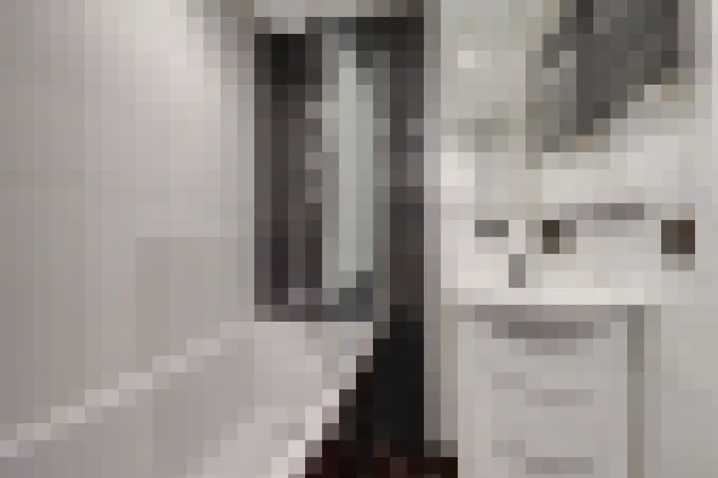Kamelenspoor 8 Maarssen thumbnail 4