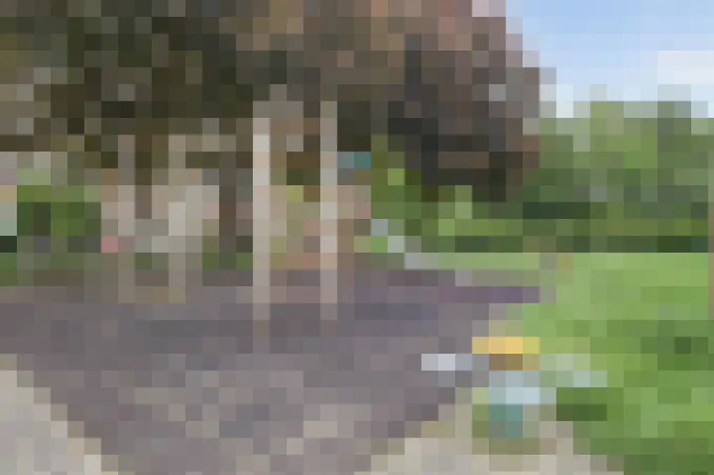 Kamelenspoor 8 Maarssen thumbnail 42