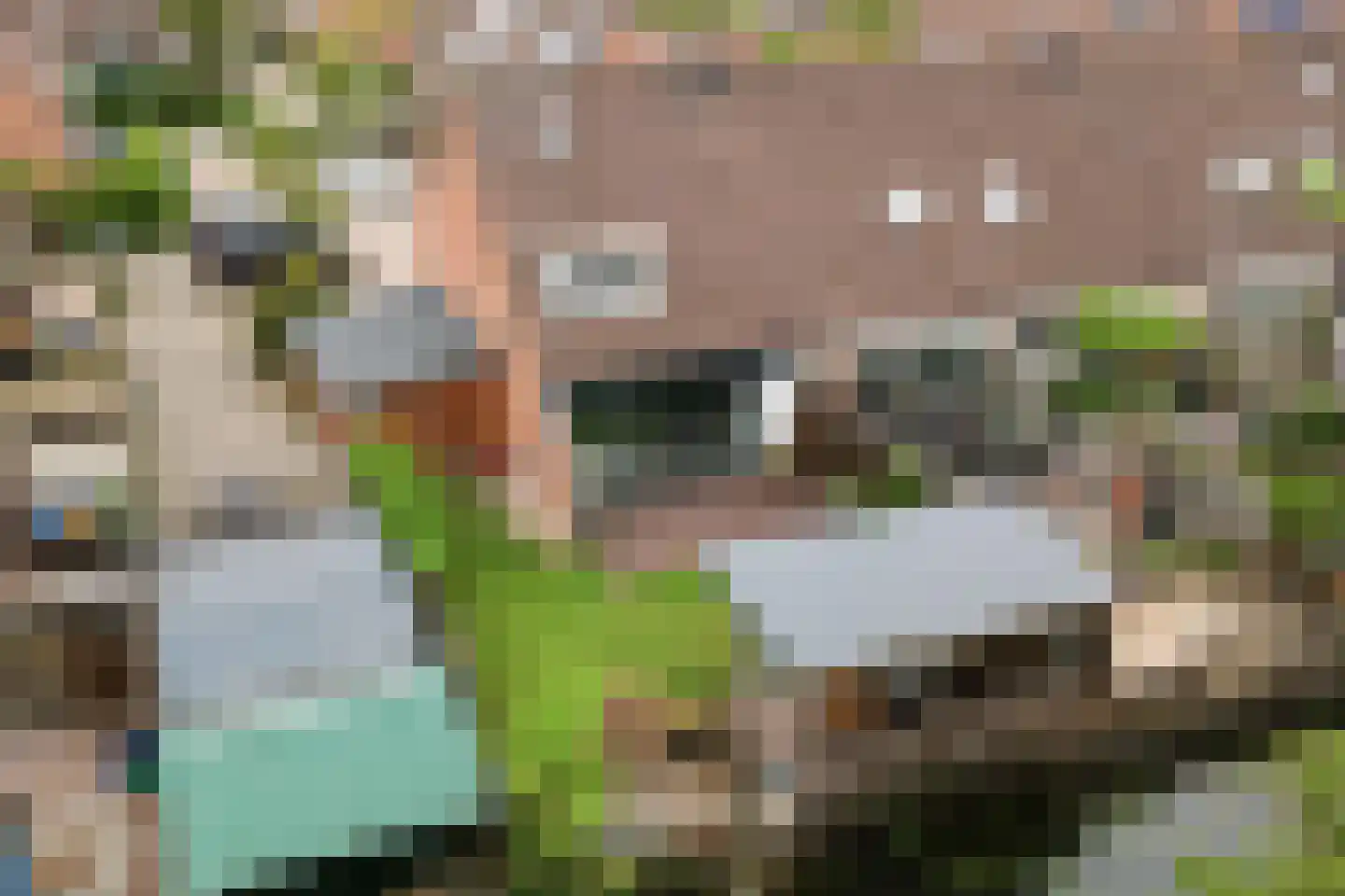 Kamelenspoor 8 Maarssen thumbnail 5