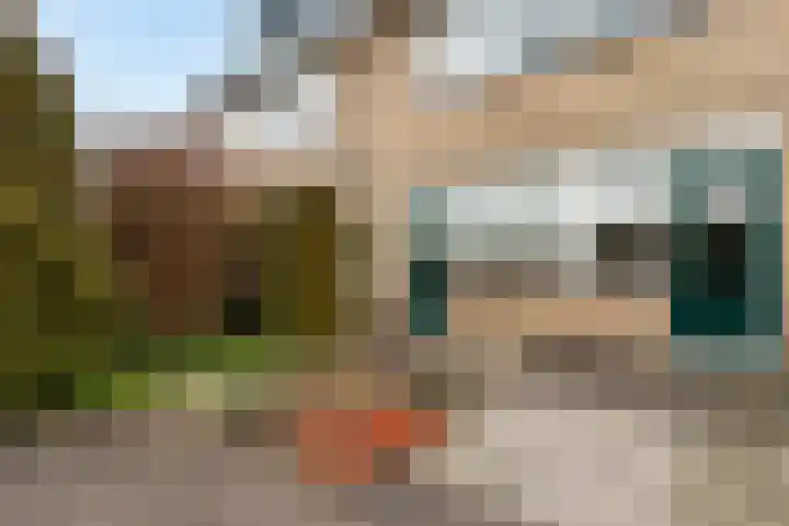 Kameleonring 13 Dordrecht thumbnail 4