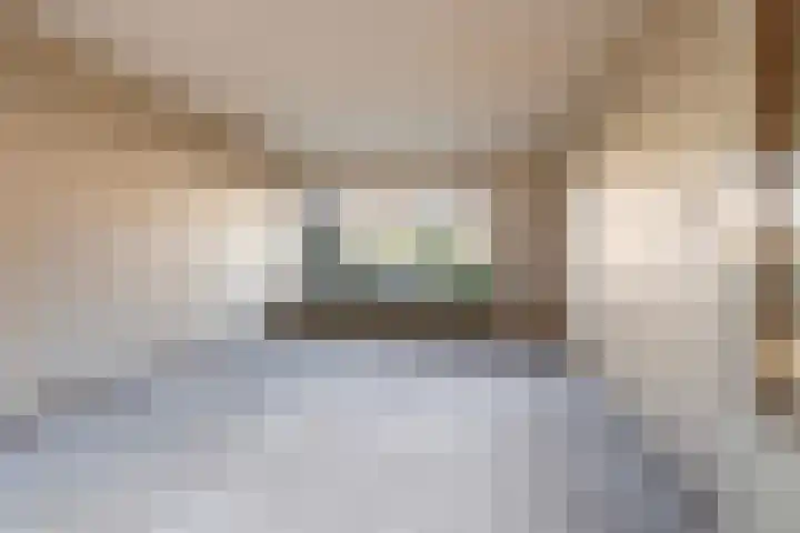 Kameleonring 15 Dordrecht thumbnail 8
