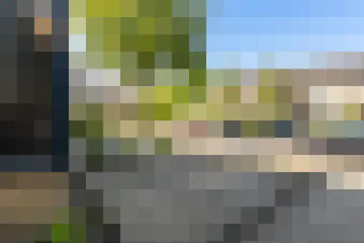 Kameleonring 24 Dordrecht thumbnail 8