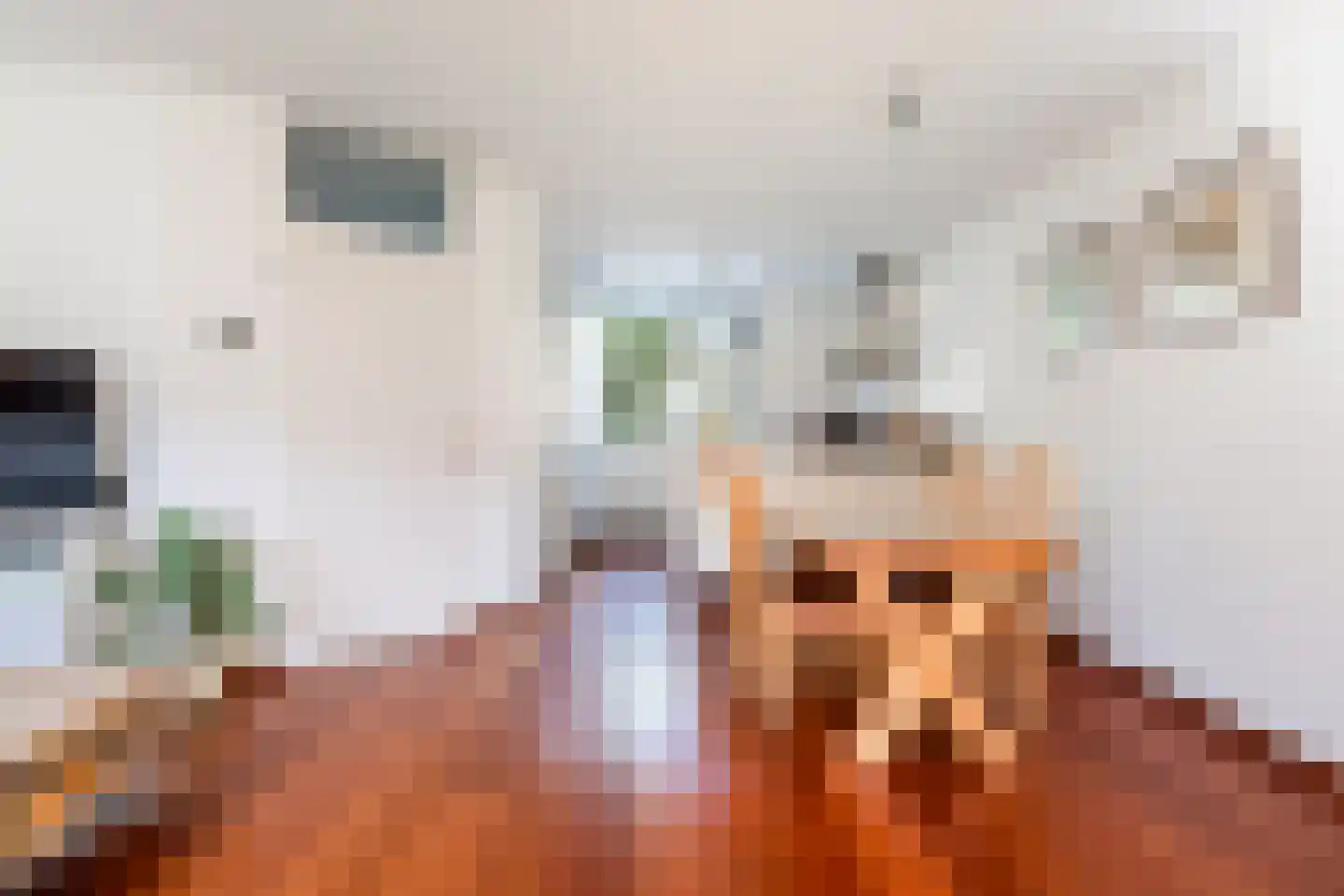 Kameraarslag 36 Gouda thumbnail 13