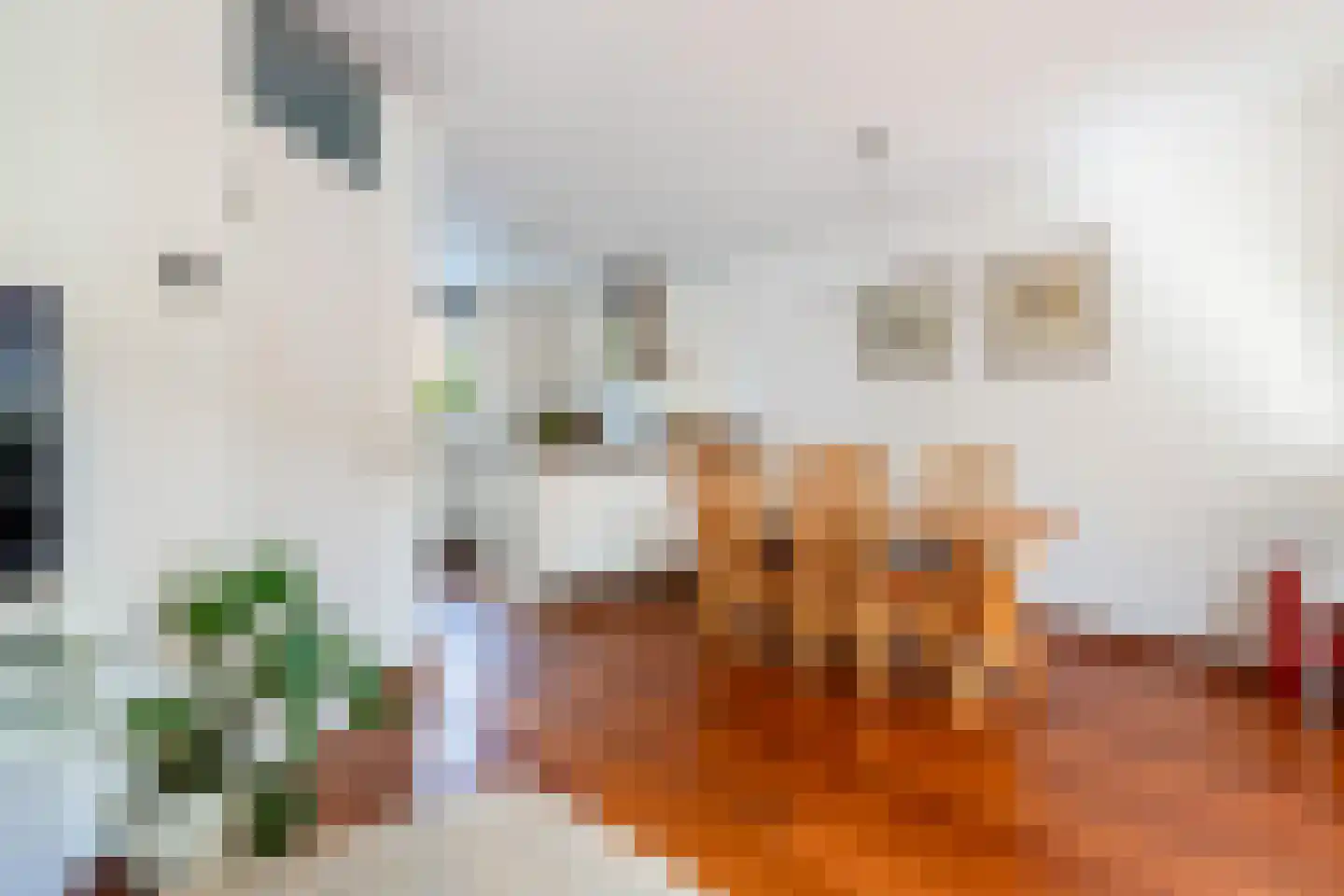 Kameraarslag 36 Gouda thumbnail 14
