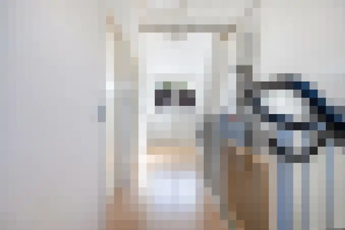 Kameraarslag 36 Gouda thumbnail 37