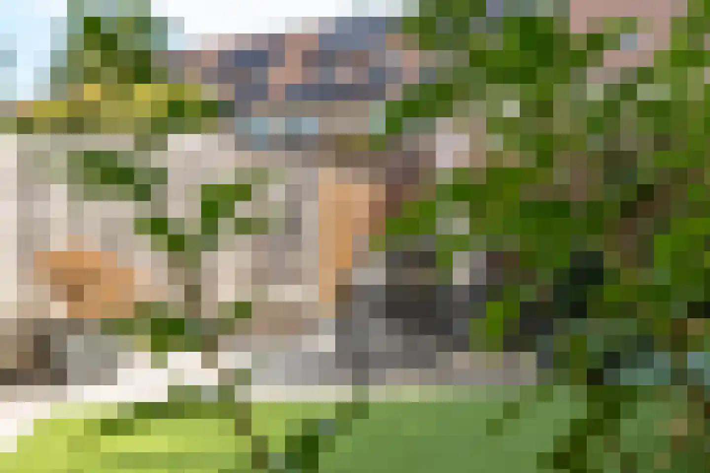 Kameraarslag 36 Gouda thumbnail 46