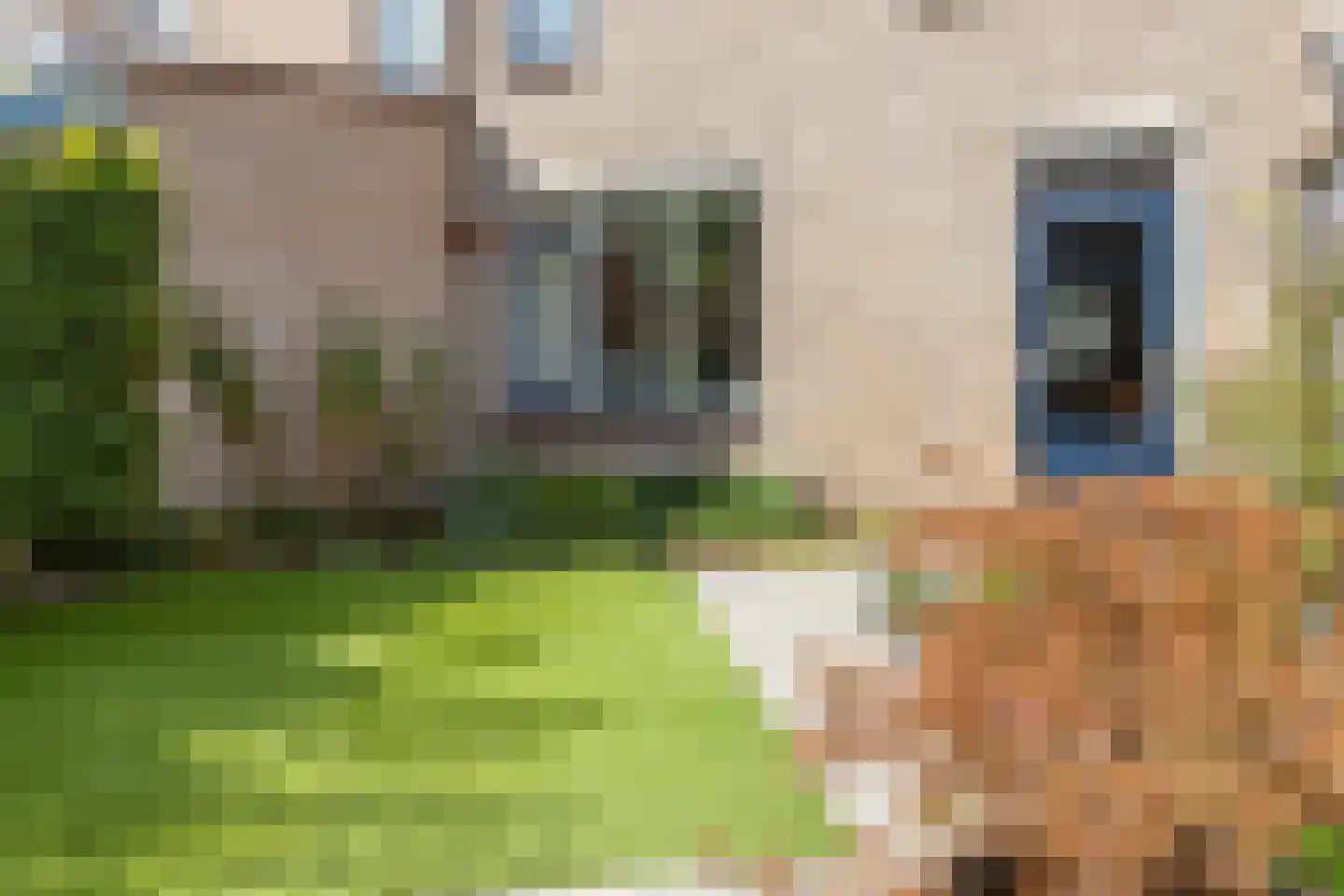Kameraarslag 36 Gouda thumbnail 49