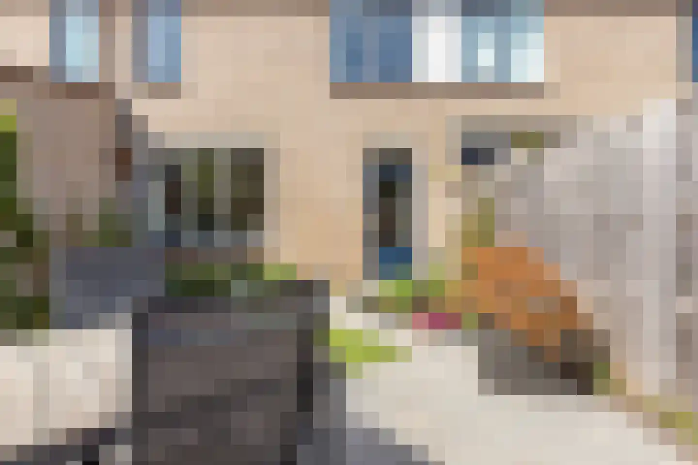 Kameraarslag 36 Gouda thumbnail 50